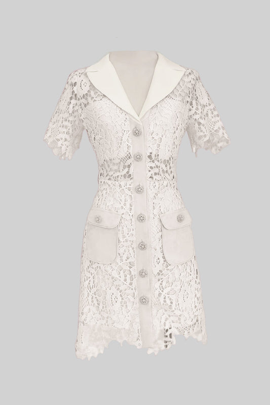 Vestido Mini de Renda com Colarinho em Contraste e Botões de Joia - Ivoire