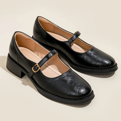 Sapatos Mary Jane Conforto Clássico